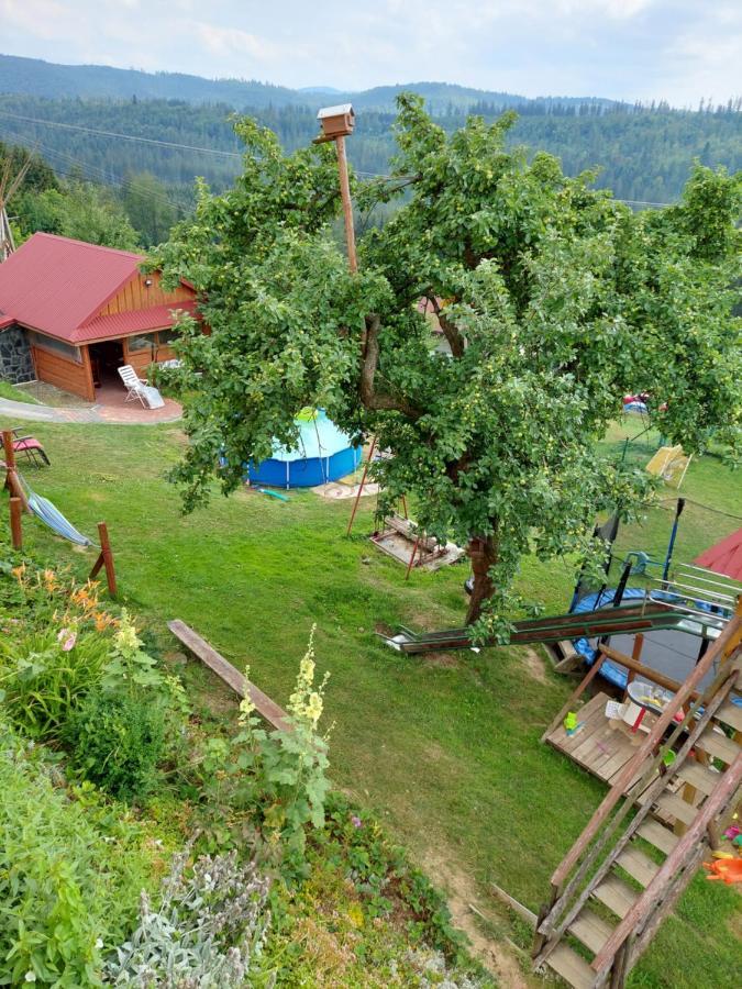 Domek Nad Lasem Koniaków 외부 사진