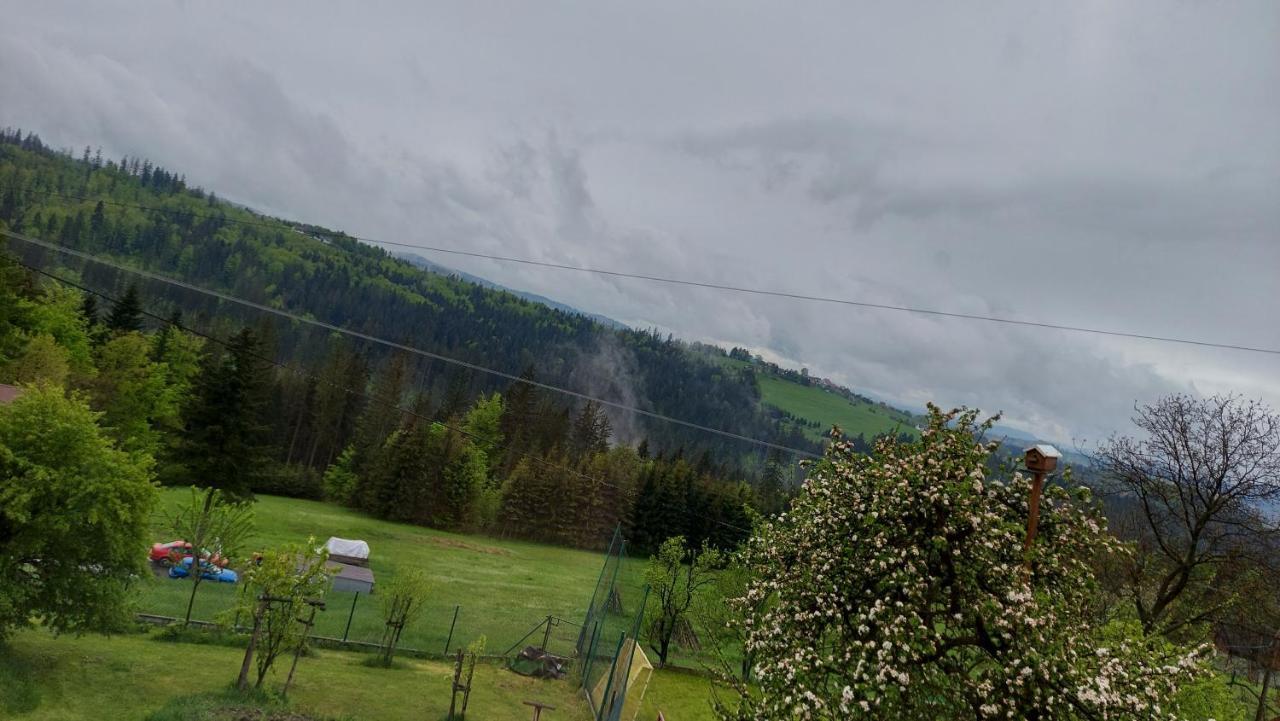 Domek Nad Lasem Koniaków 외부 사진